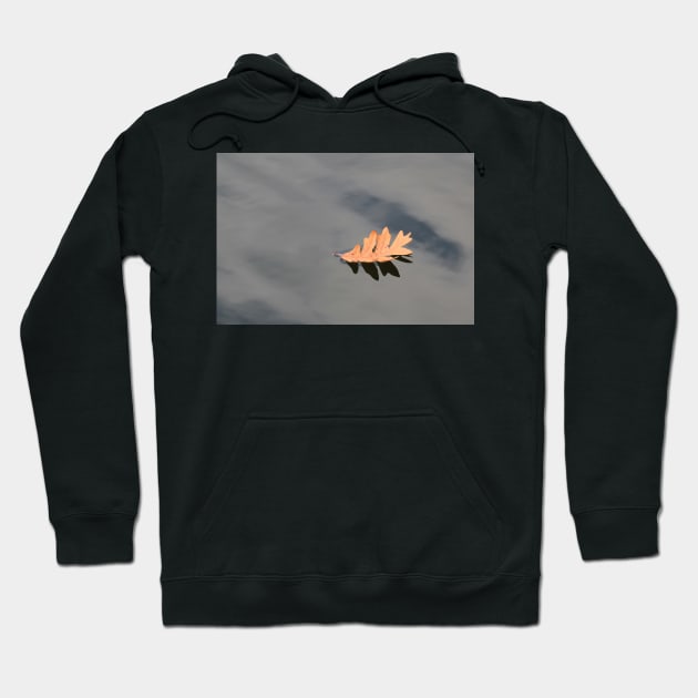 Leaf Adrift Hoodie by tgass